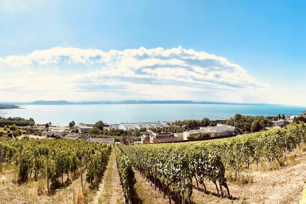 Charmant Appartement De Vacances Alta Ripa Hauterive  Экстерьер фото