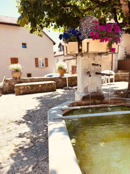 Charmant Appartement De Vacances Alta Ripa Hauterive  Экстерьер фото