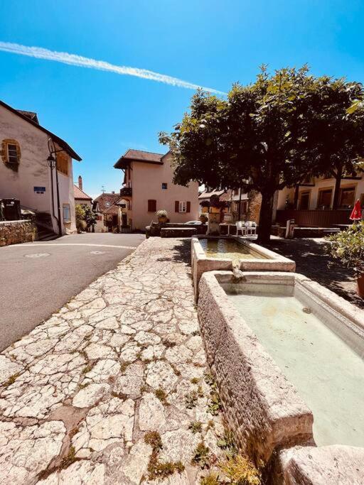 Charmant Appartement De Vacances Alta Ripa Hauterive  Экстерьер фото